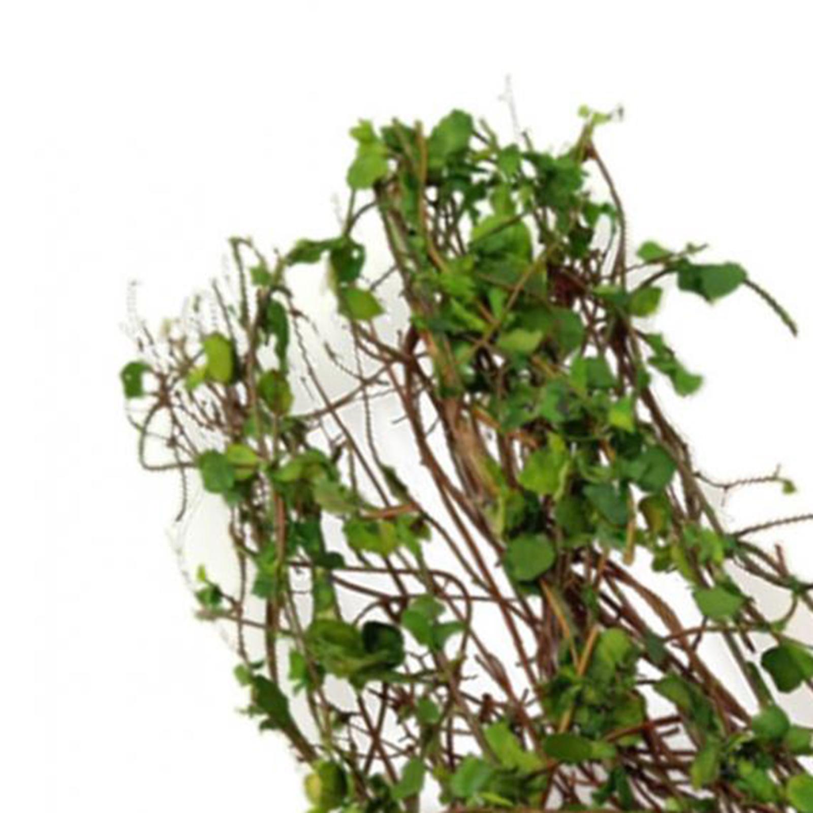 Miniature Model Vine Scene Simulated Model of DIY Miniature Scene Material 