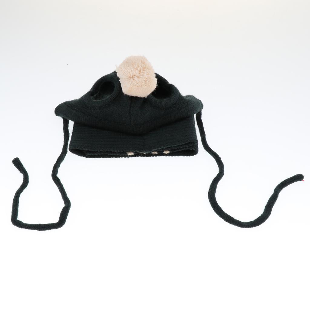 Schal und Mütze für Hunde eBay