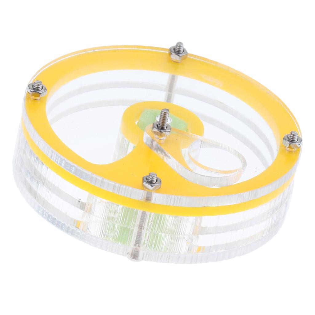 Clear Acrylic Feeding Box, Moisturizing Sponge Ant Nest, The Ants Feeder 