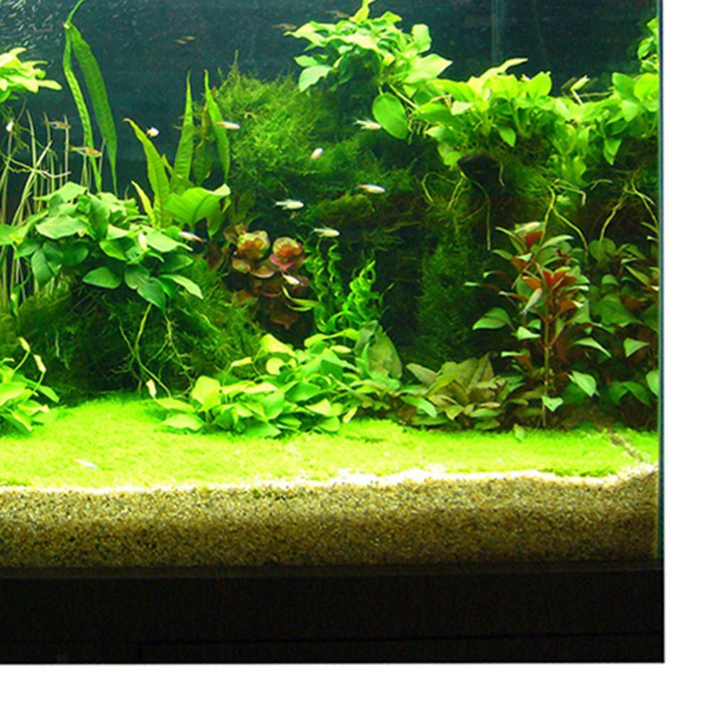 3d Aquarium Fancy Background Poster Fish Tank Wallpaper Sticker Underwater Decor Ebay