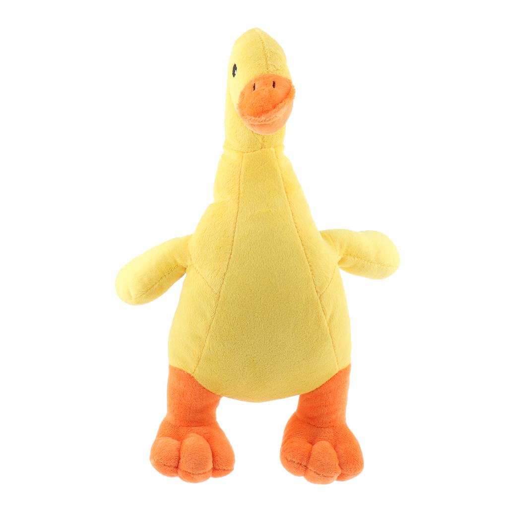 Dog Squeaky Toys