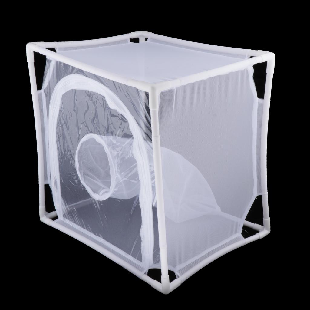 Insect Butterfly Net Terrarium Cage for Raising Insects Butterflies Bugs