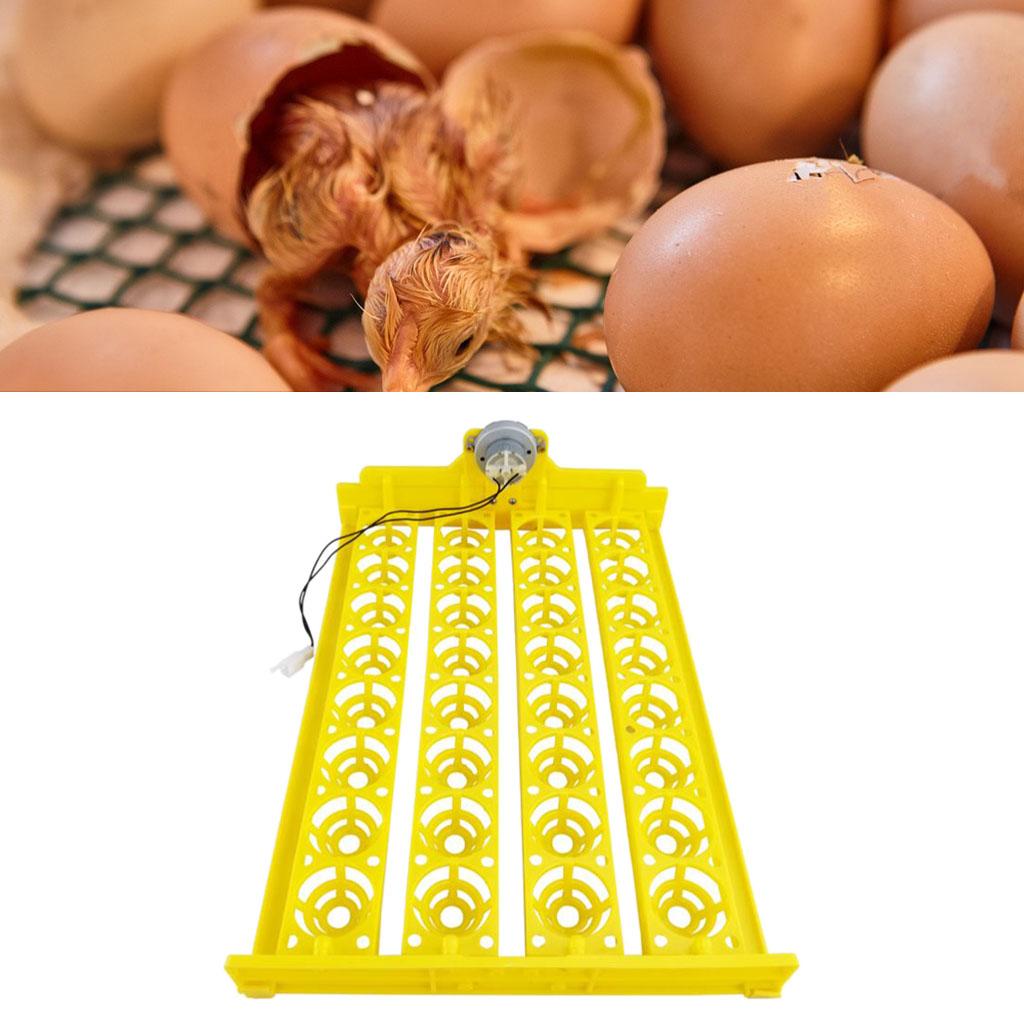 Automatic Egg Incubator Egg Turner 32 Eggs Poultry for Chicken Supplies DC 12V