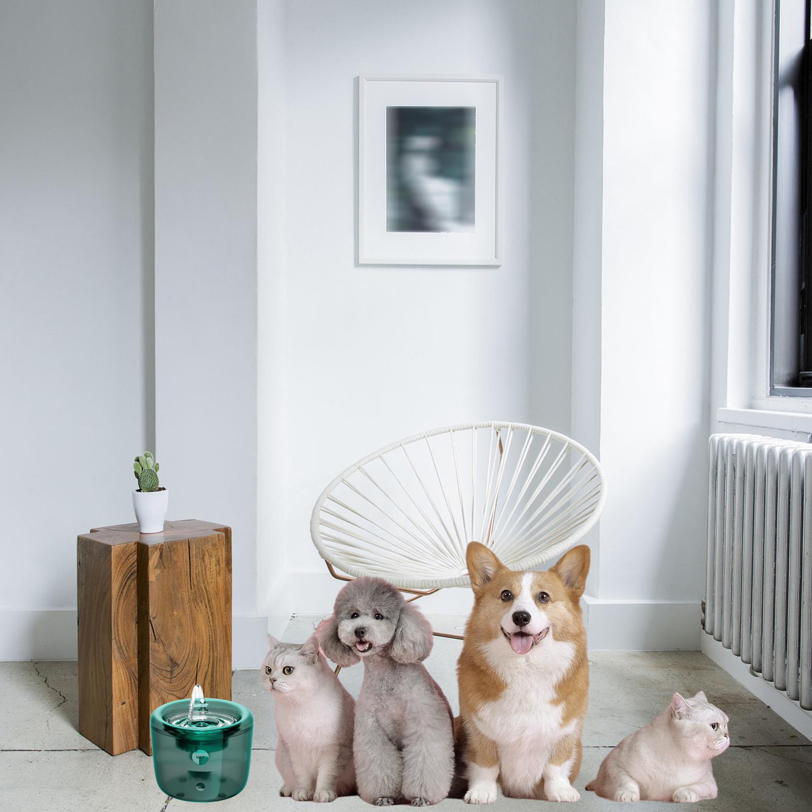 Cat Water Fountain 1.6L Puppy Kitten Adjustable Flowing Indoor Green