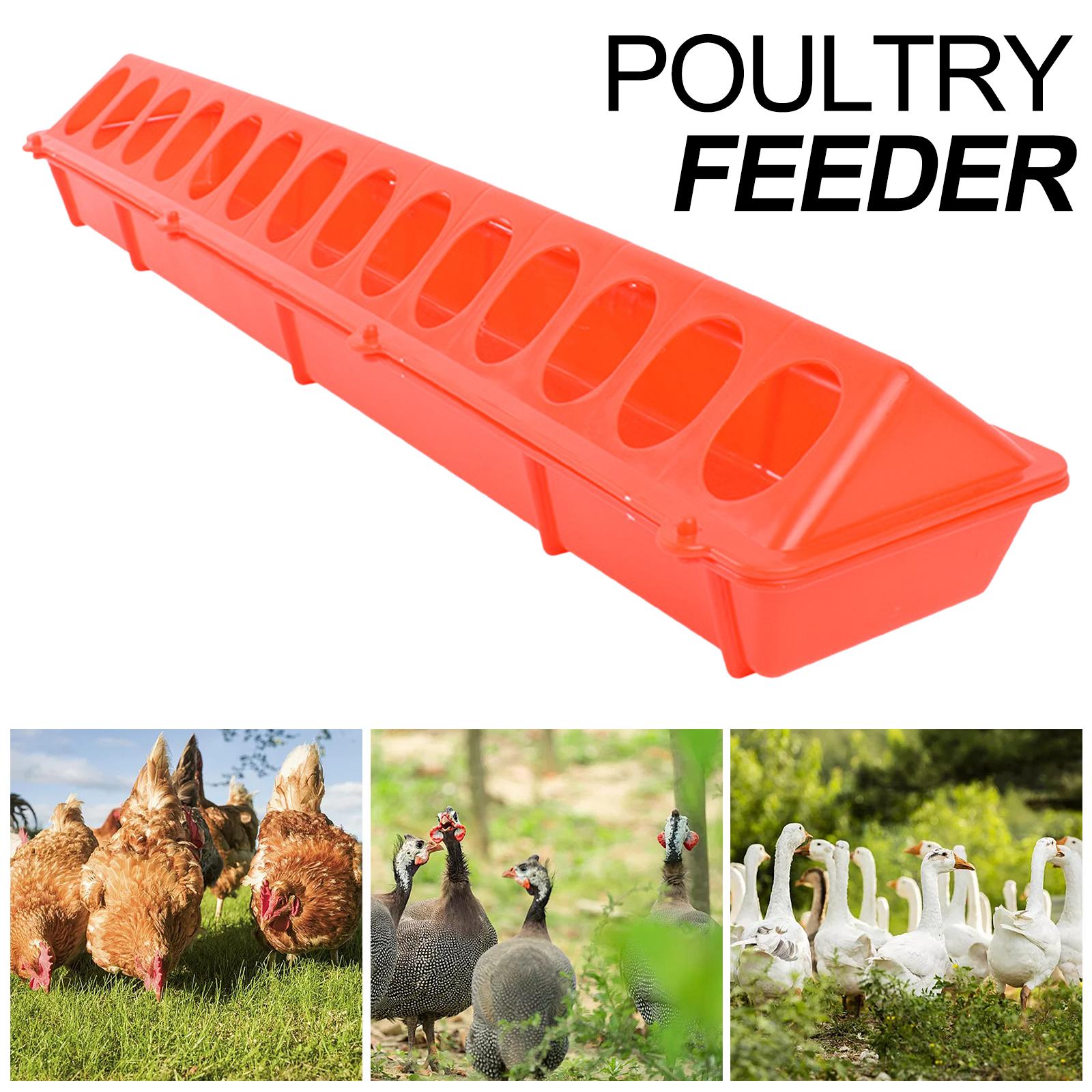 Flip Top Poultry Feeder Birds feed Long Trough for Livestock Pigeons Budgies