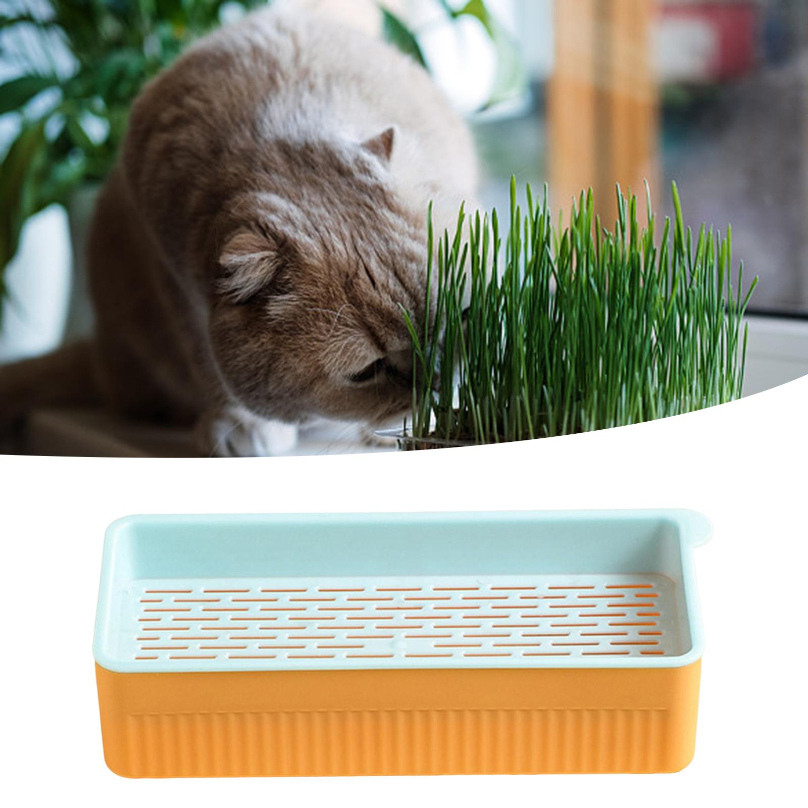 Nursery Tray Soil Free Seeds Germination Trays for Seedling Planting Blue