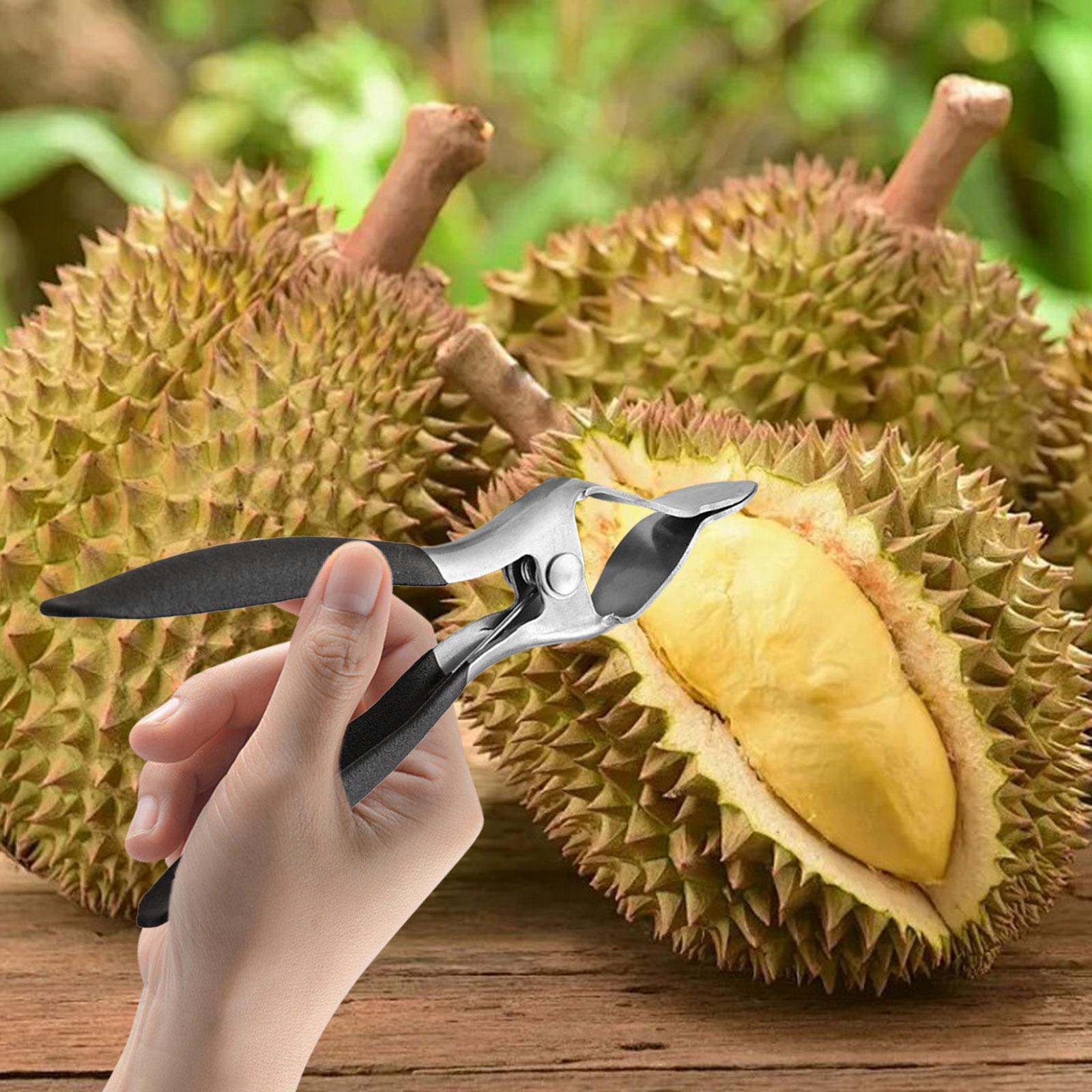 Durian Opener Divider Opener Clip Fruit Peel Tool for Camping Cooking Household