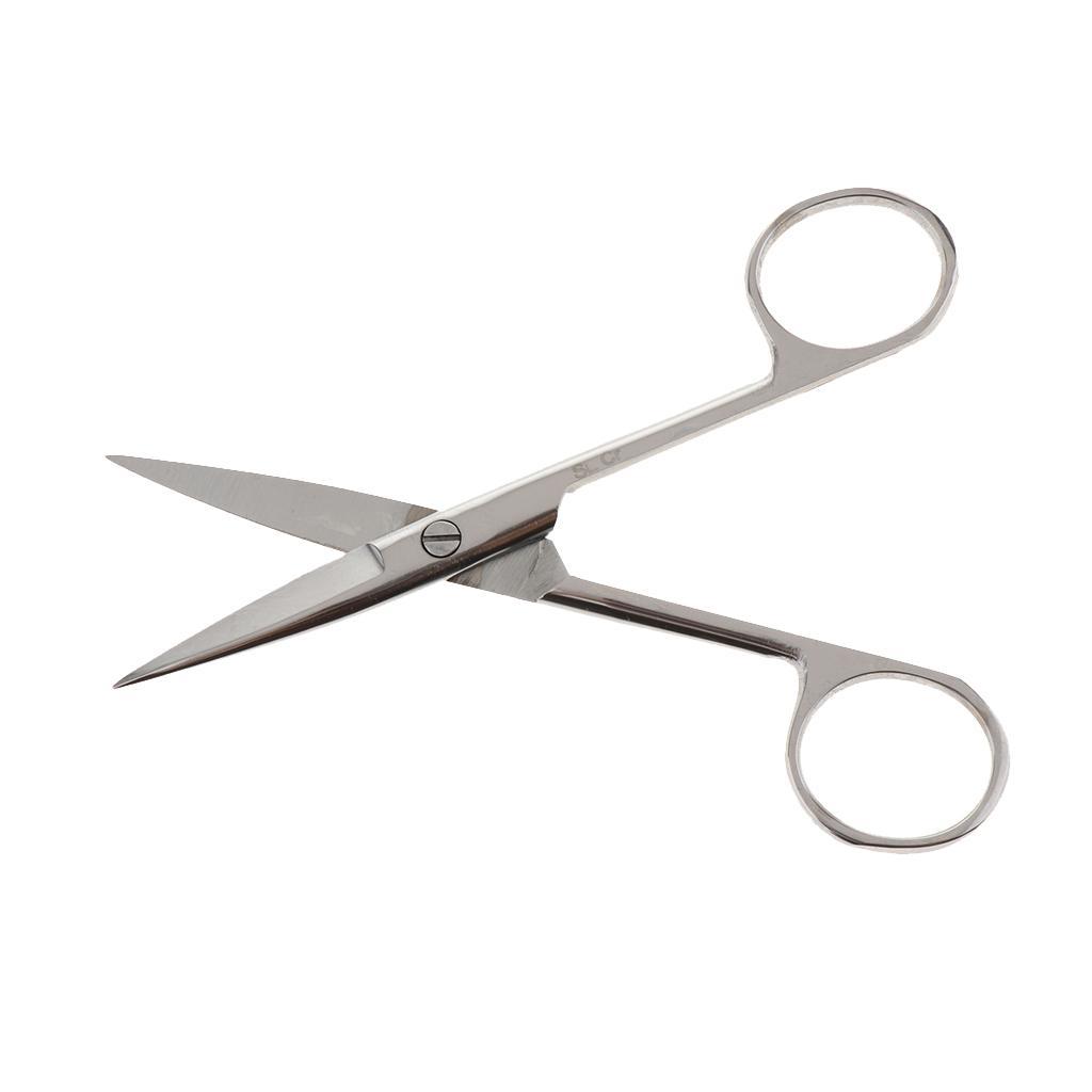 Stainless Steel Scissors Straight Curved Scissors 10-14cm | eBay
