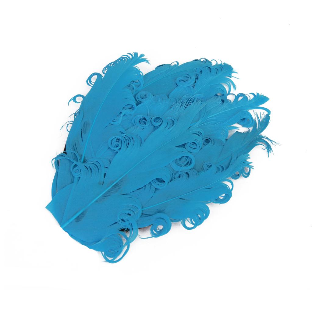 Blue Curly Goose Feather Pad