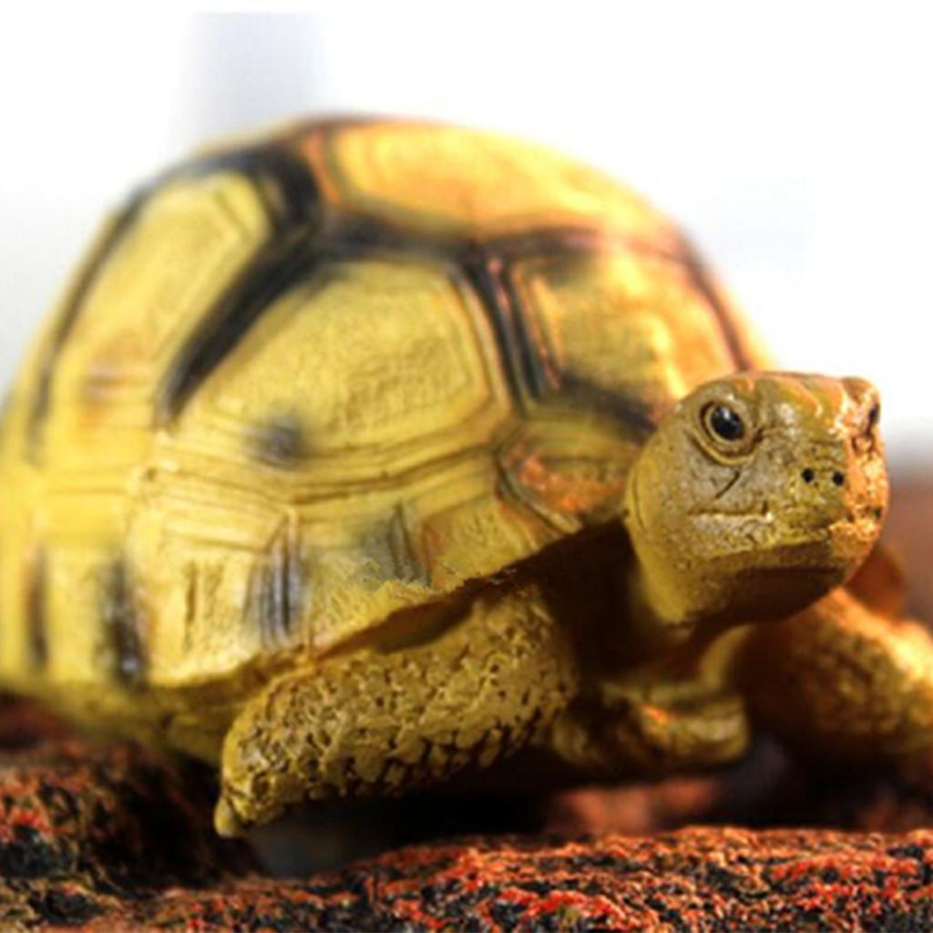 Resin lifelike Turtle Simulated Geochelone Yniphora Tortoise Reptile Sculpt