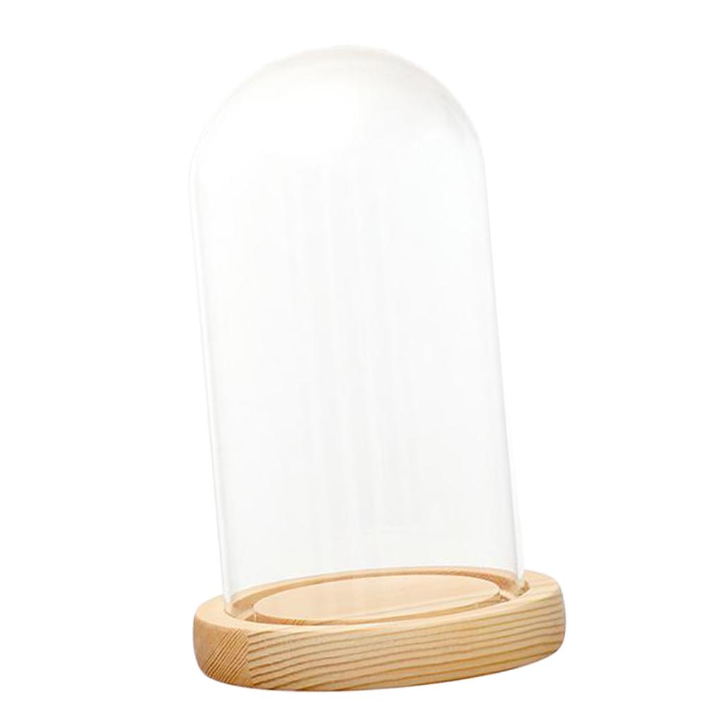 Clear Glass Display Dome with LED Wood Base Microlandscape Holder 2Pcs/Set