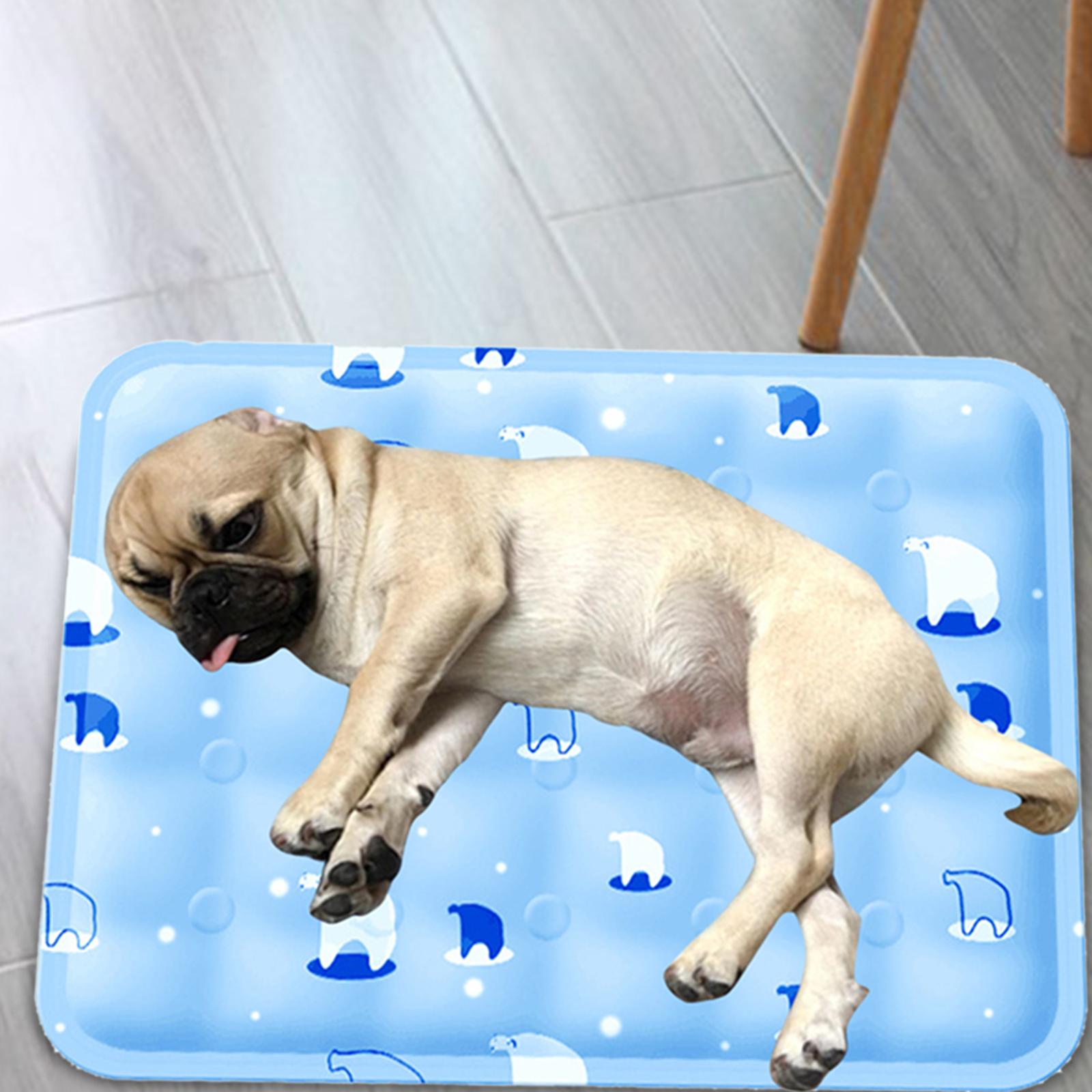 Pet Cooling Mat Nonslip Pad Sleeping Pad for Indoor Bed Blue 30cmx40cm