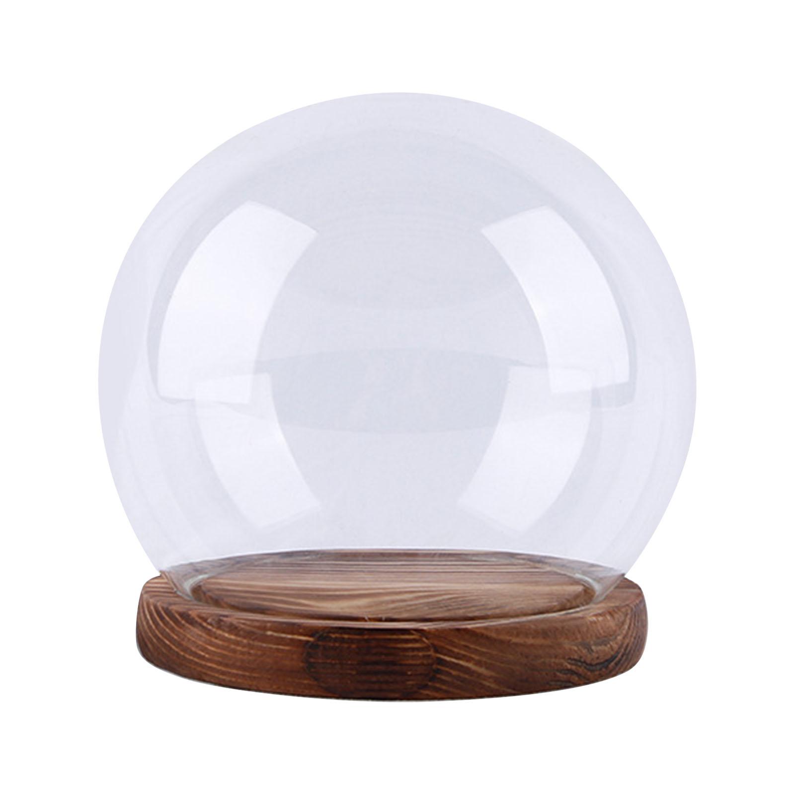 Glass Cloche Dome