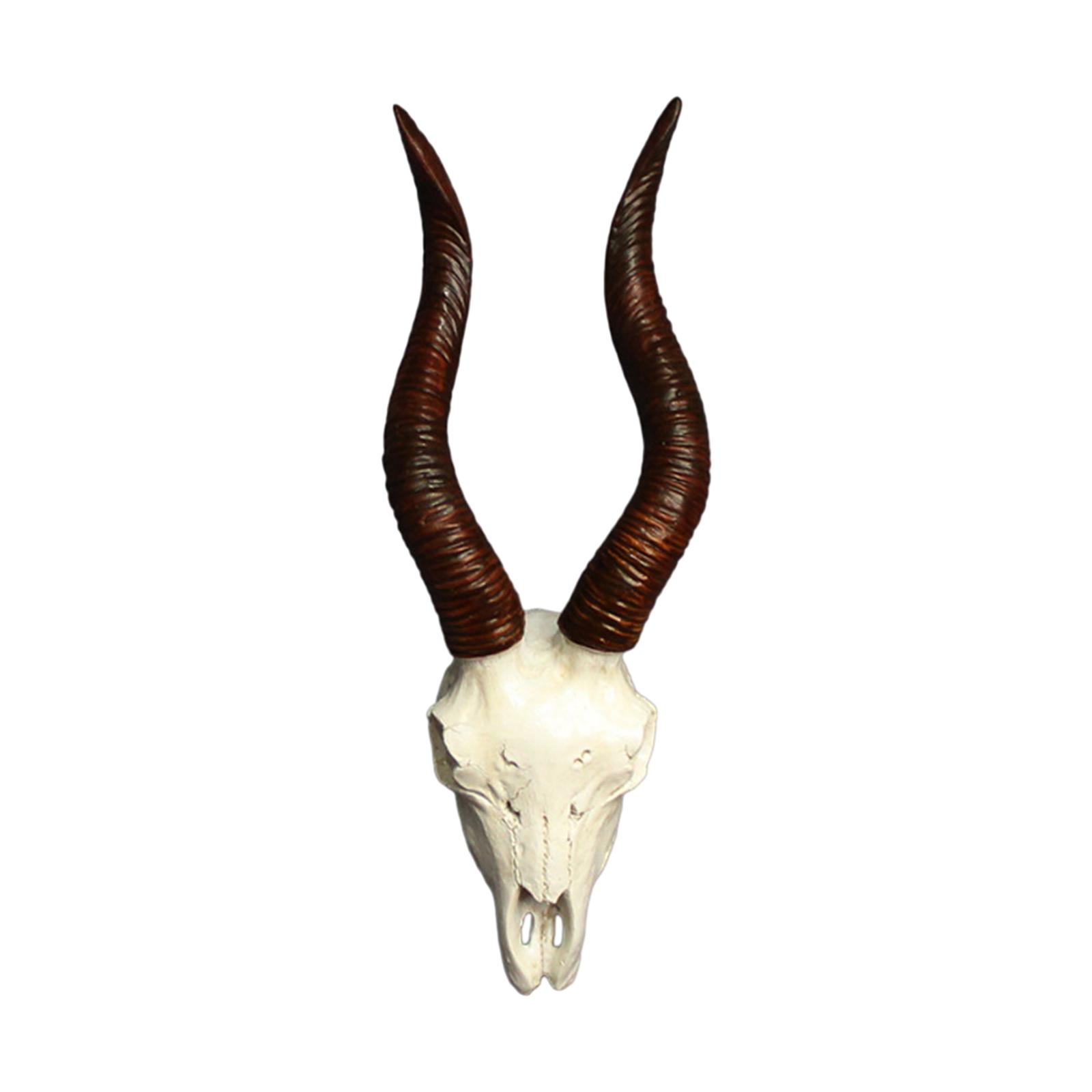Skull Sheep Head Wall Sculpture