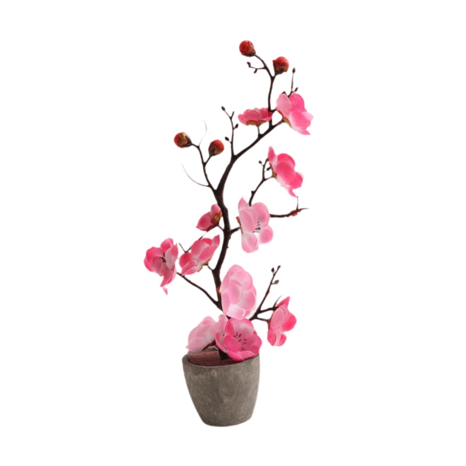 Potted Plum Blossom