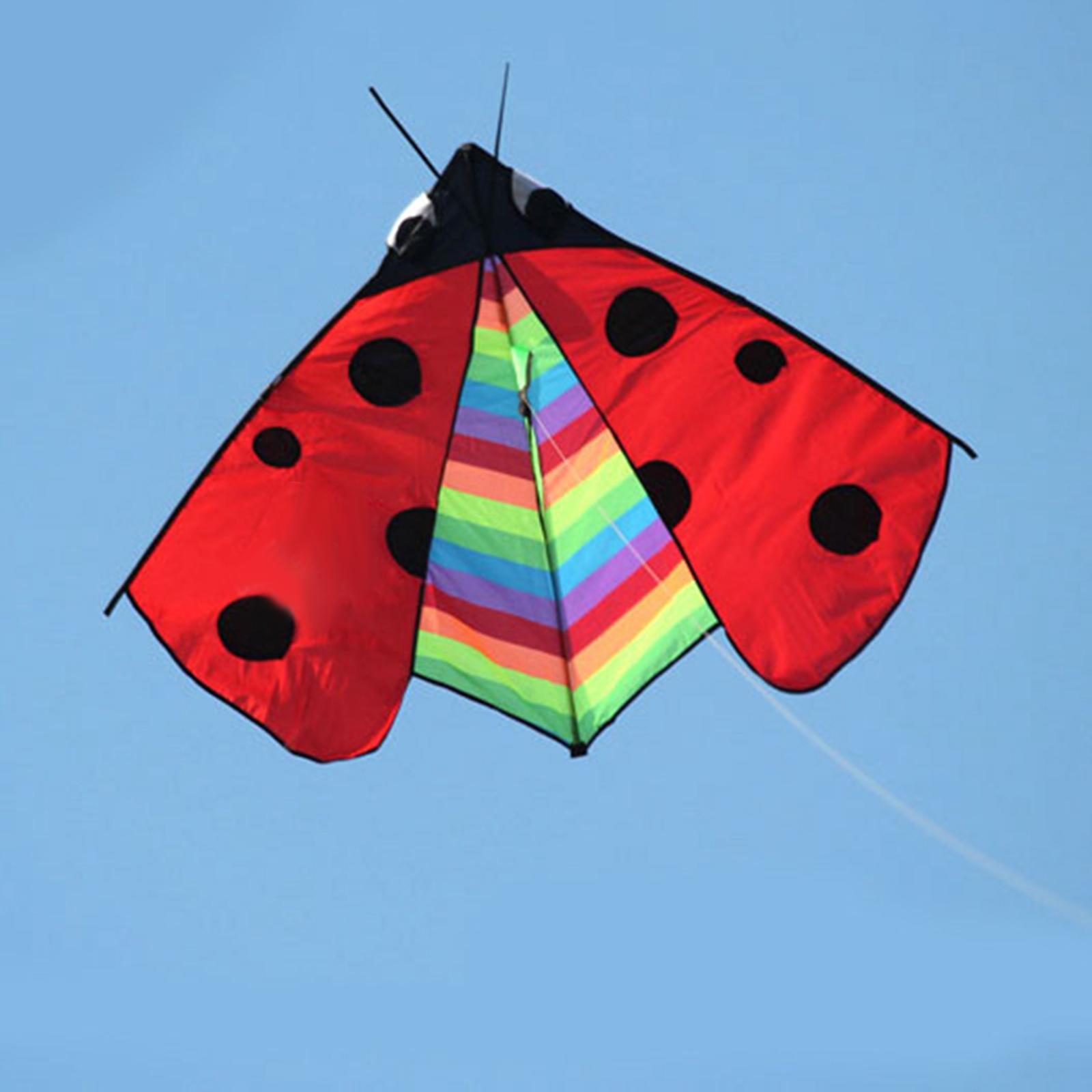 Delta Kite Fly Kite Huge Wingspan Triangle Ladybug Kite for Sports Garden