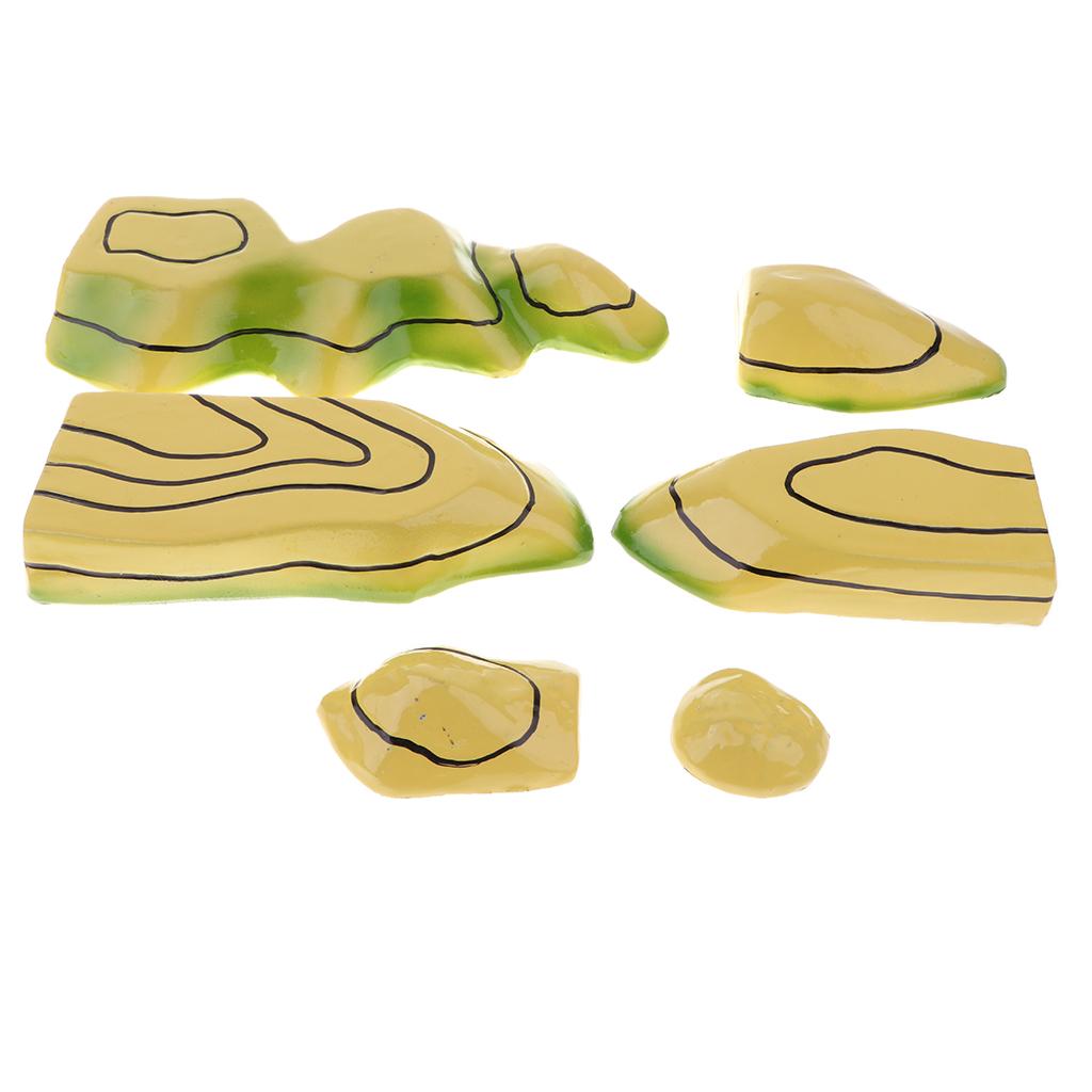 Removable Scientific Isoline Model Kit School Geographical Teaching Aids