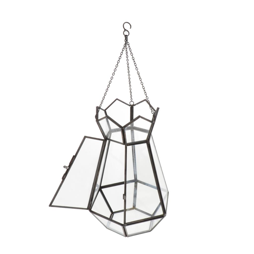 Clear Glass Flower Plant Hanging Vase Terrarium Container Home