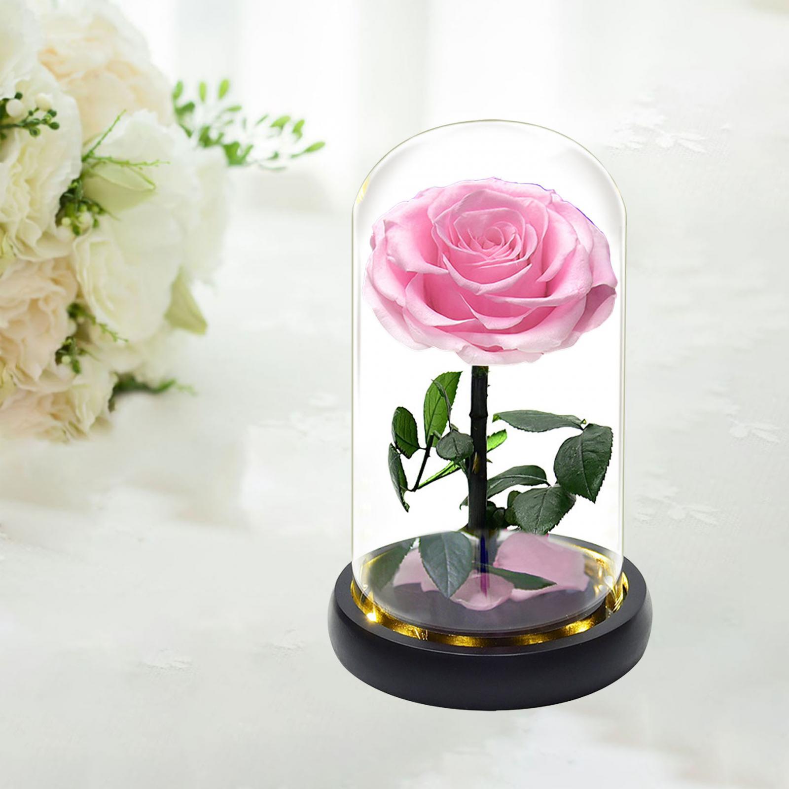 Light up Rose in Glass Dome Valentines Day Gifts for Her 