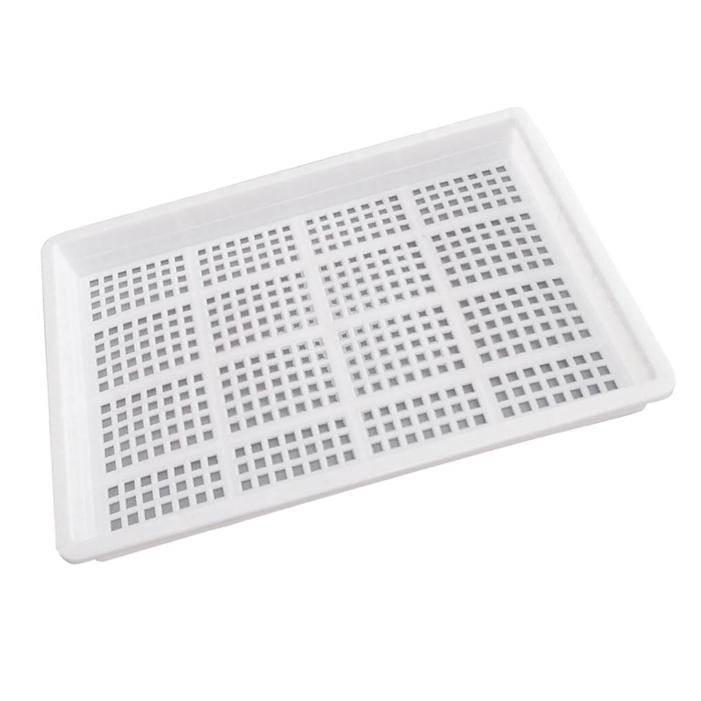 Food Grade Plastic Grow Seedlings Tray Seed Starting Plant Propagation Tray