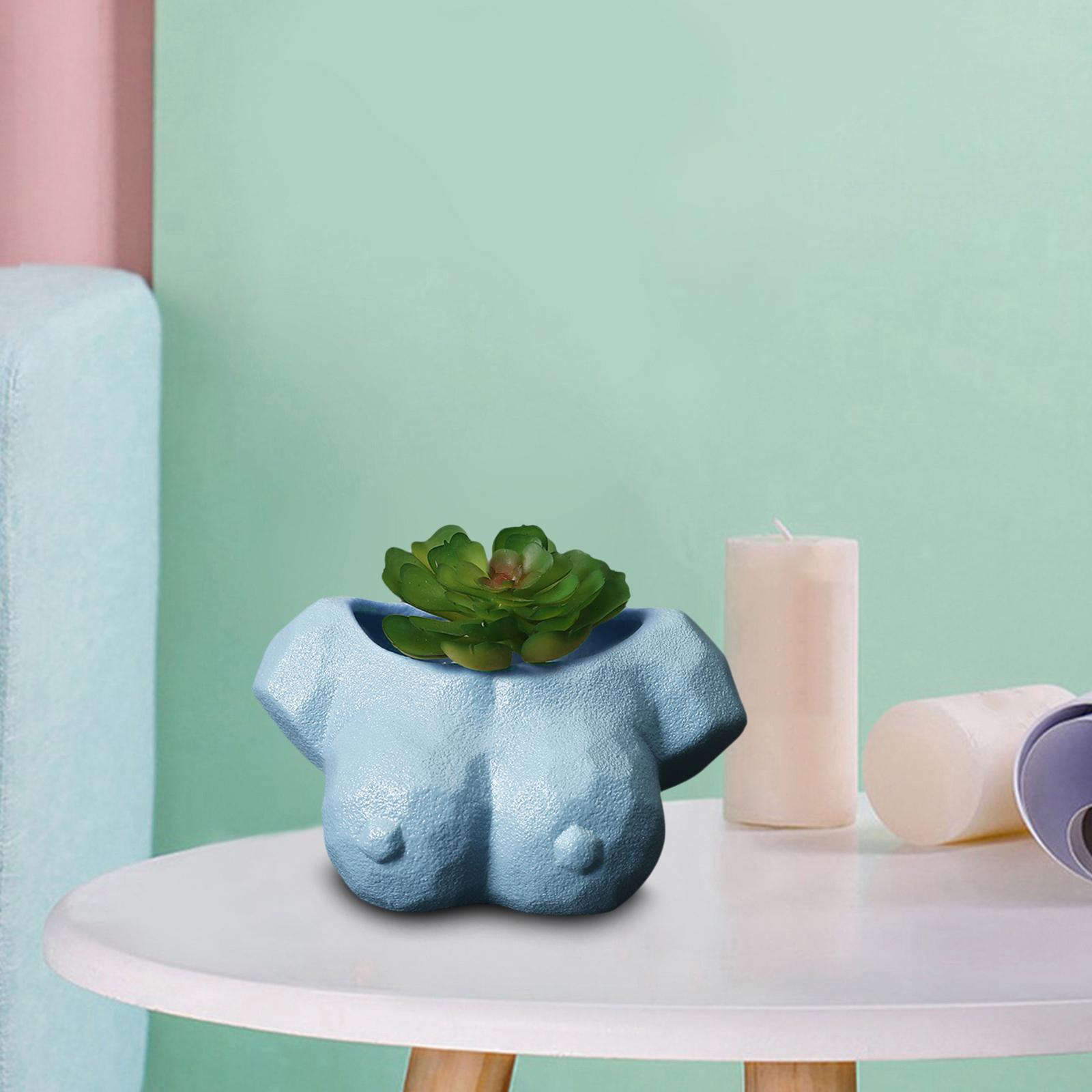 Abstract Art Flower Planter Pot Garden Plants Cactus Succulent Pots Blue