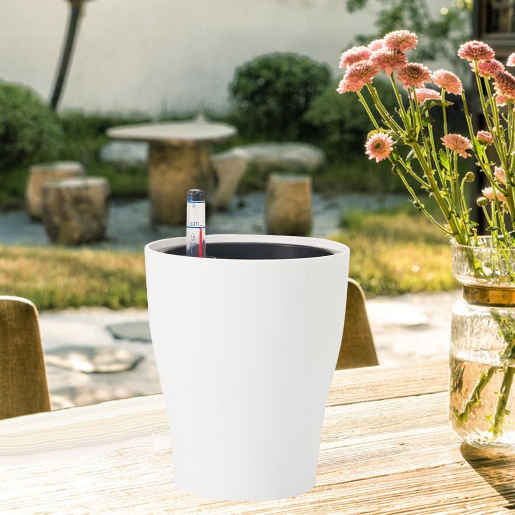 Self Watering Plant Pots Automatic Water Solution for Bonsai Plants  Round