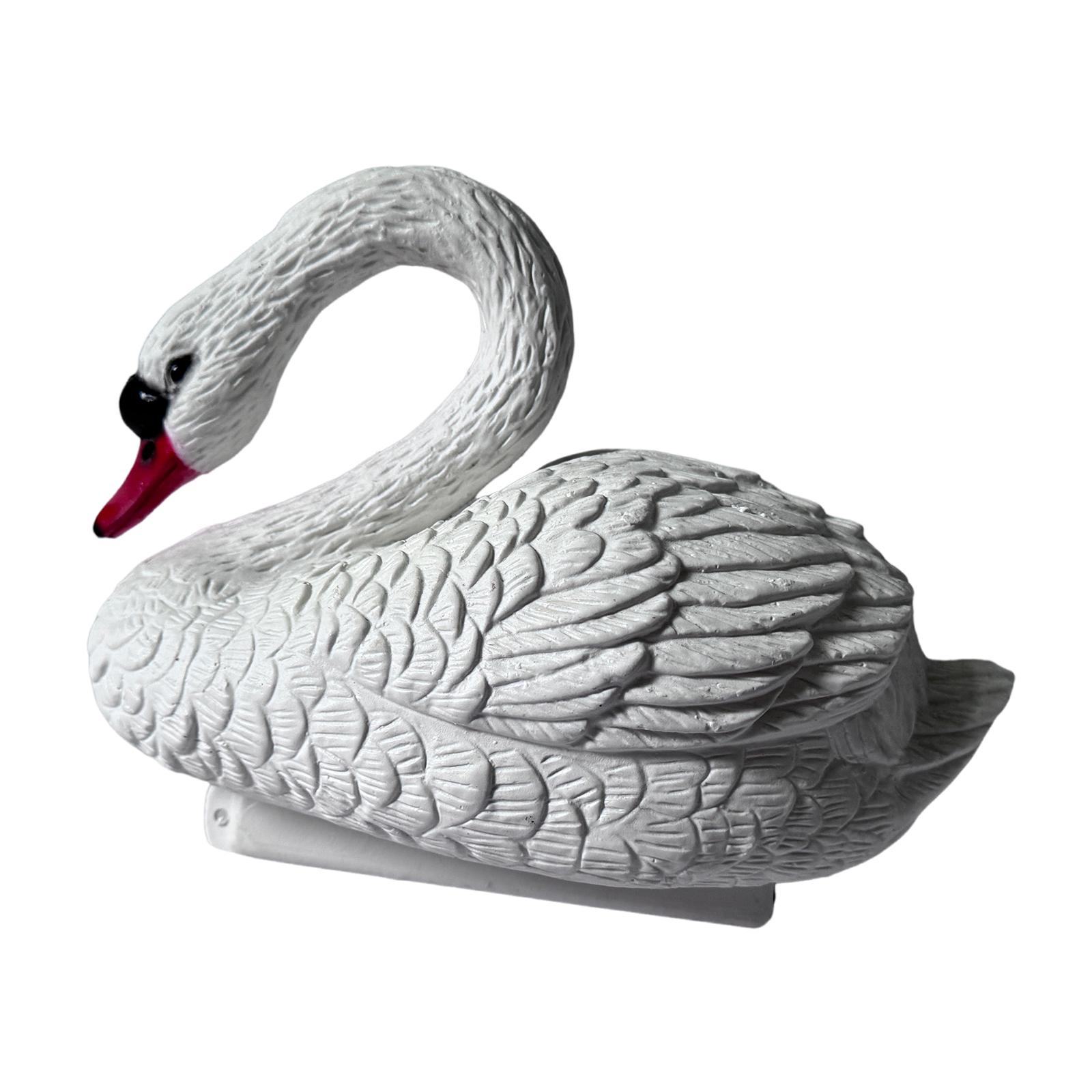 Swan Pond Float