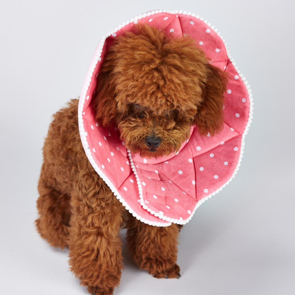 Chien Et Chat Collerette Forme Cone Fleur En Tissu Pour Protection Ebay