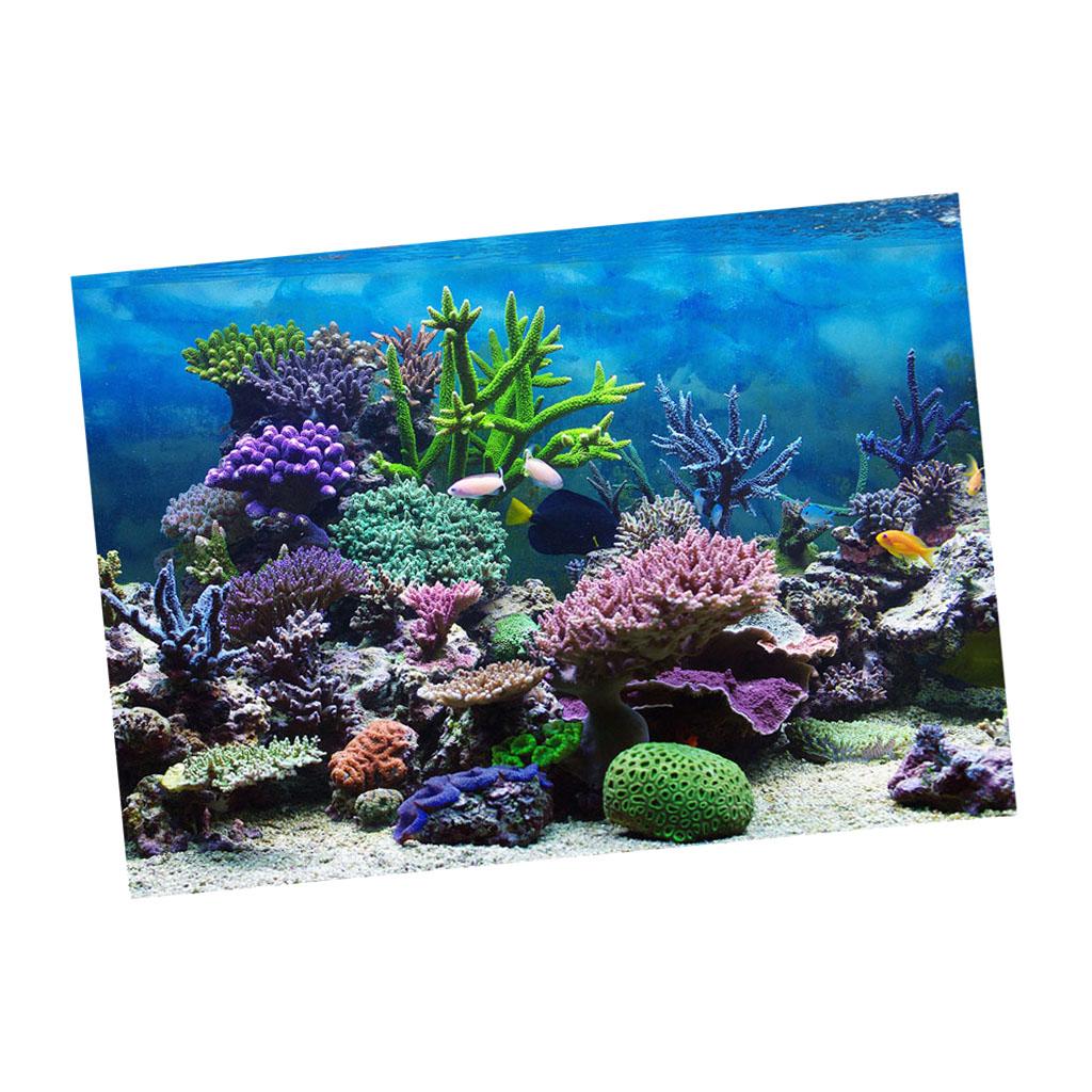aquarium wall decor