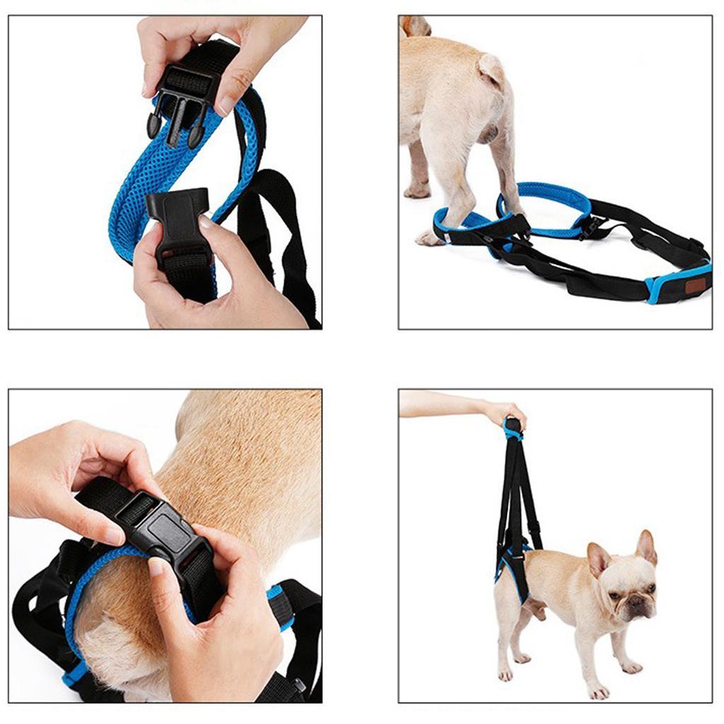Hunde Tragehilfe Hinterbein Unterstützung Sling Rehabilitation Geschirr