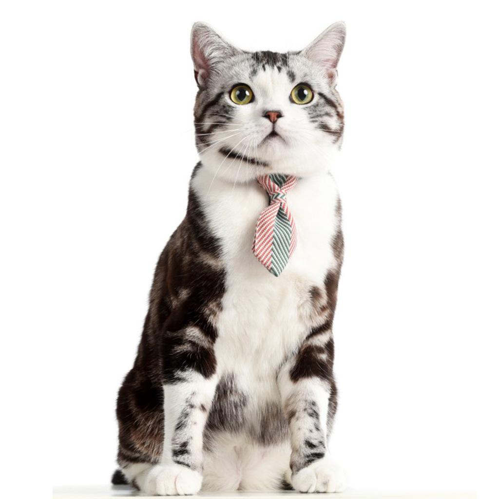 Small pure and fresh and tie Green M