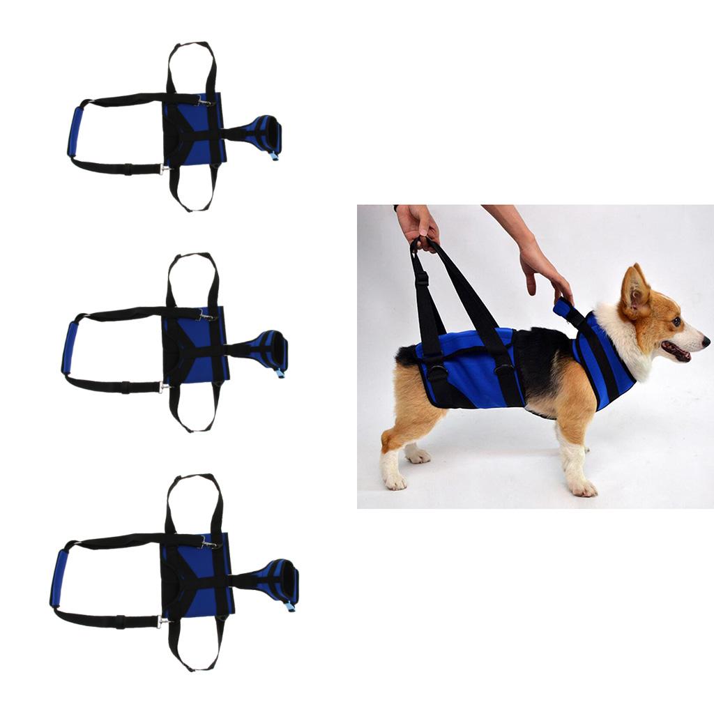 best dog climbing harness