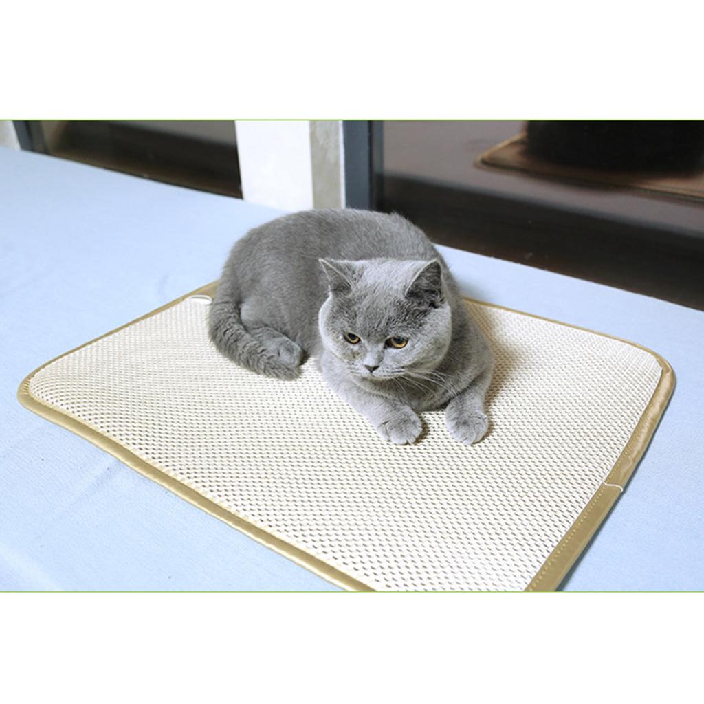 Pet Waterproof and Bite-resistant Rehabilitation Pad Classic Mat 55x45cm