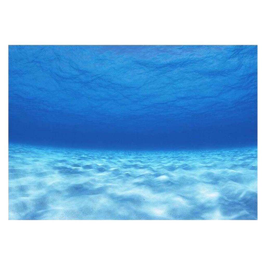 Aquarium Background 122X46Cm