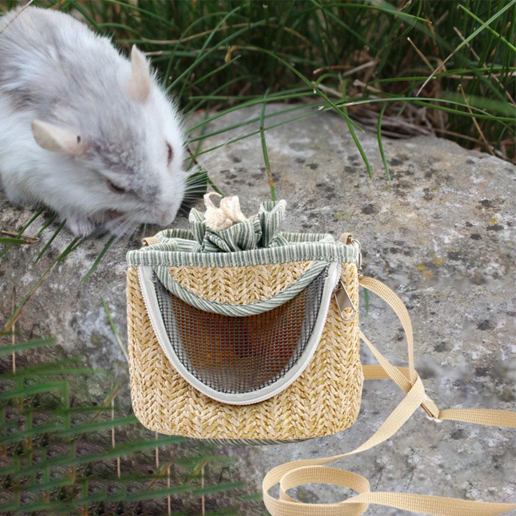 Small Pet Bag Knapsack Breathable Mesh Carrier for Outing Travel green