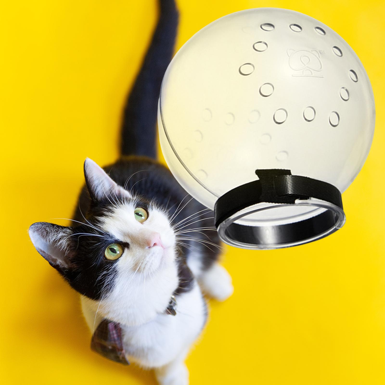 Breathable Cat Muzzle Mask Space Hood Clear for Grooming After Surgery