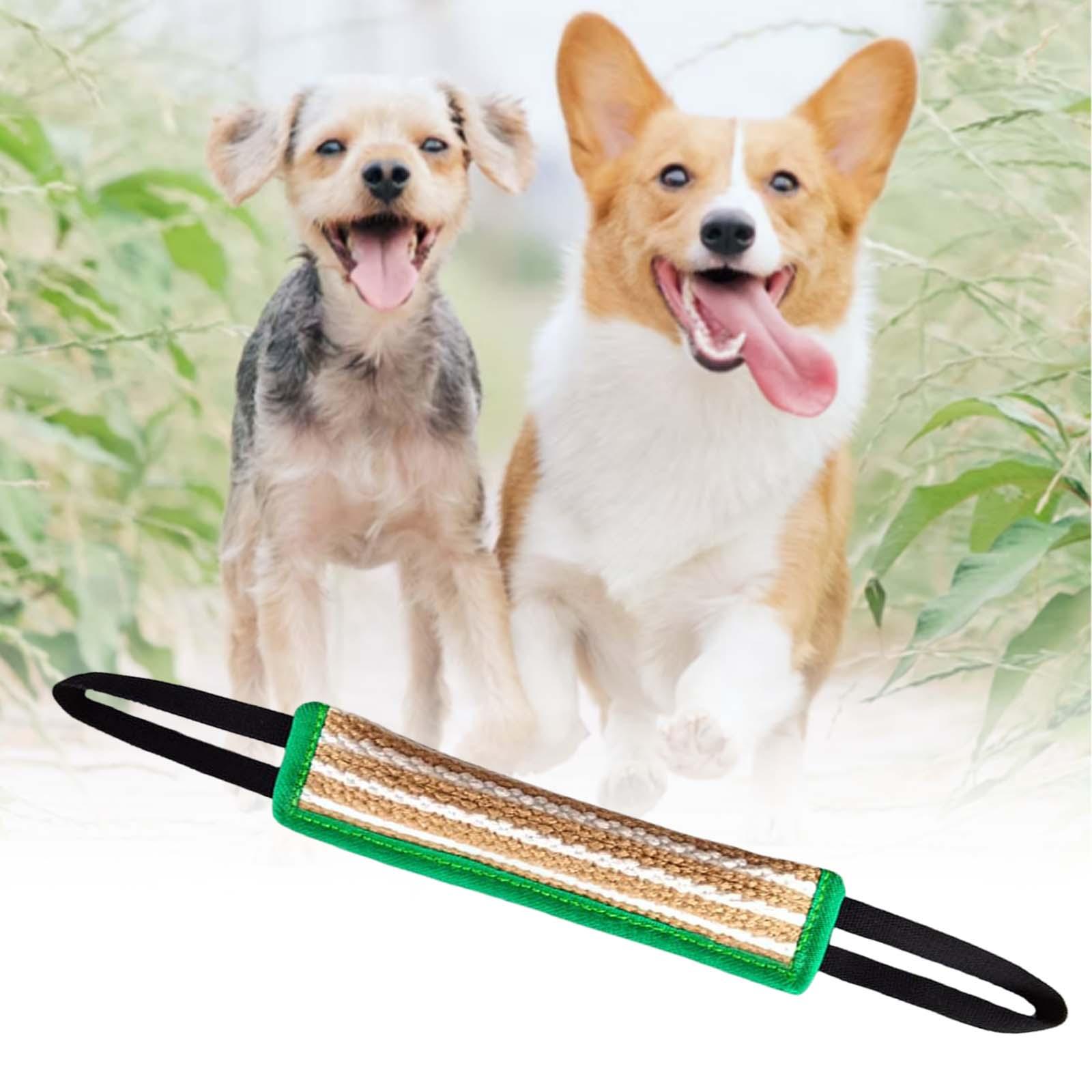 Dog Bite Tug Toy Training Bite Pillow W/ 2 Handles Green