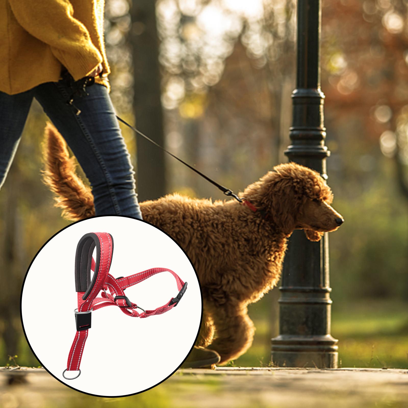 3xDogs Muzzle Breathable Dog Mouth Cover for Aggressive Dog Red XL