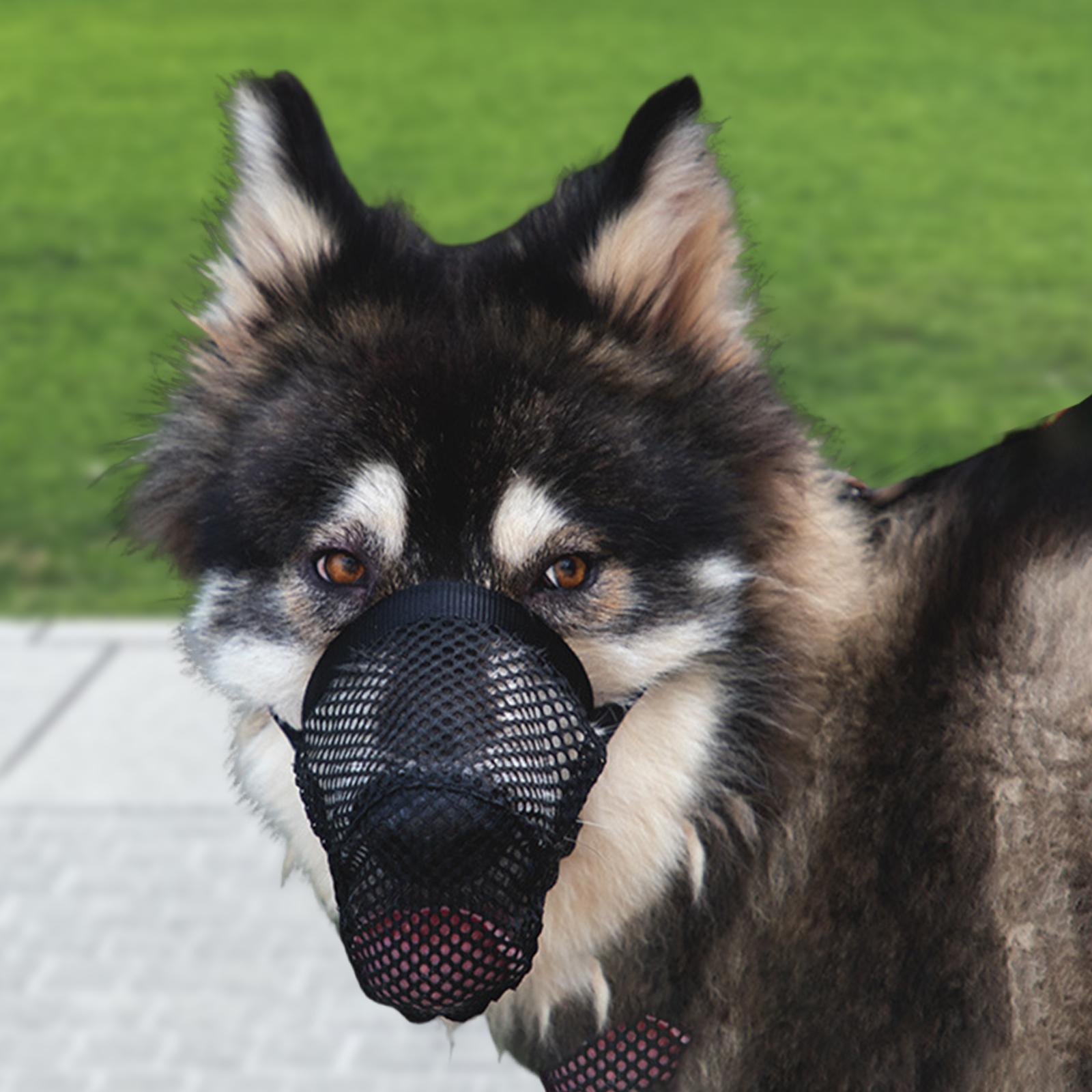Dog Muzzles Anti Biting Barking Chewing Breathable Dogs Training Mouth Cover S