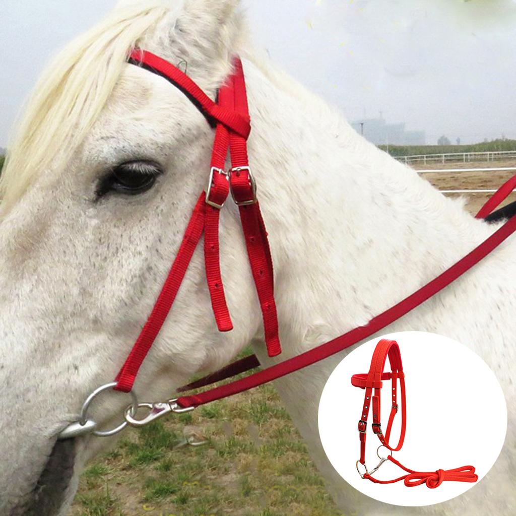 Horse Bridle Rein Harness Headstalls Removable Snaffle Nylon Webbing Red M