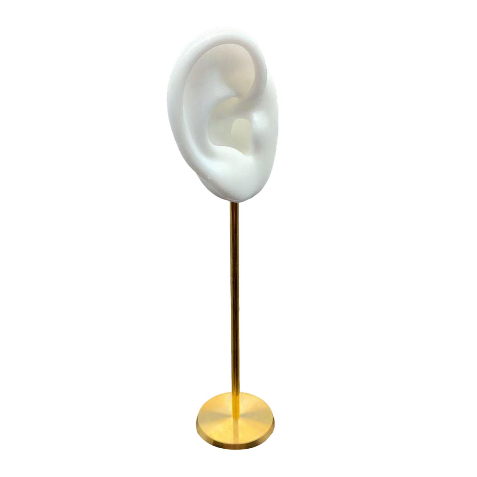 Earring Display Holder