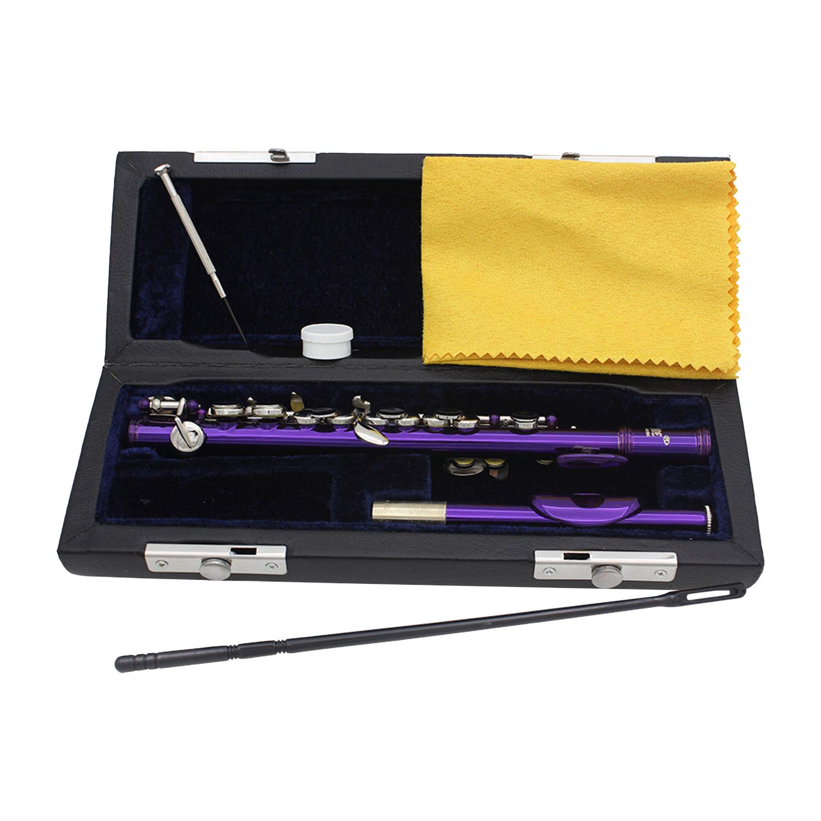 Piccolo Woodwind Instrument C Key for Stage Musical Enlightenment Classroom Purple