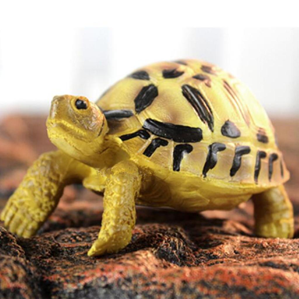 Resin lifelike Turtle Simulated India Star Tortoise Reptile Sculpted Decor