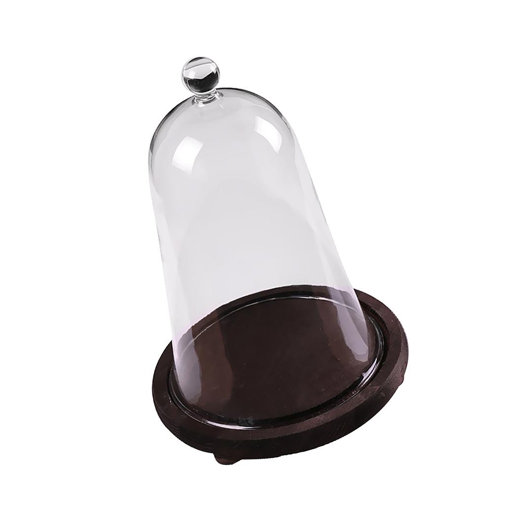 Large Glass Display Bell Jar Cloche With Base Decorative Desk Vintage