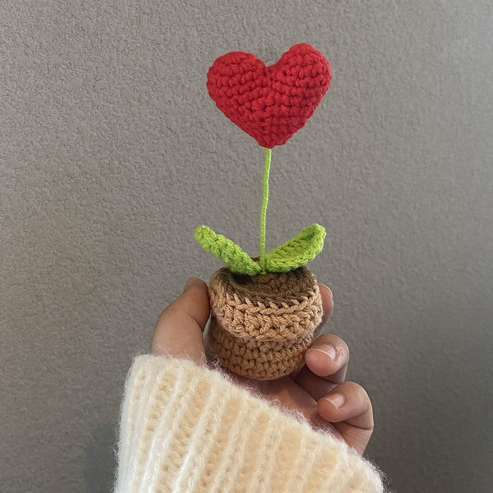Handmade DIY Beginner Crochet Kit for Adults and Kids Includes Yarn, Hook Heart