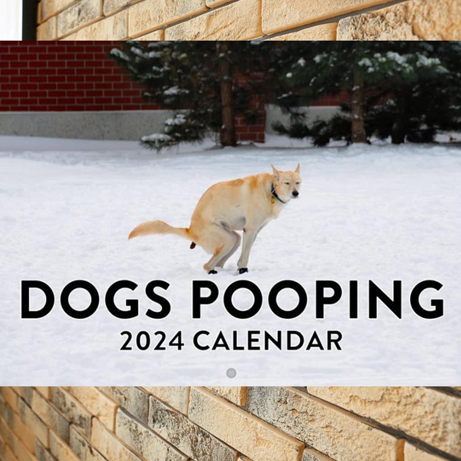 Pooping Calendar 2024 Exquisite Monthly Calendar for Hotel Home Bedroom