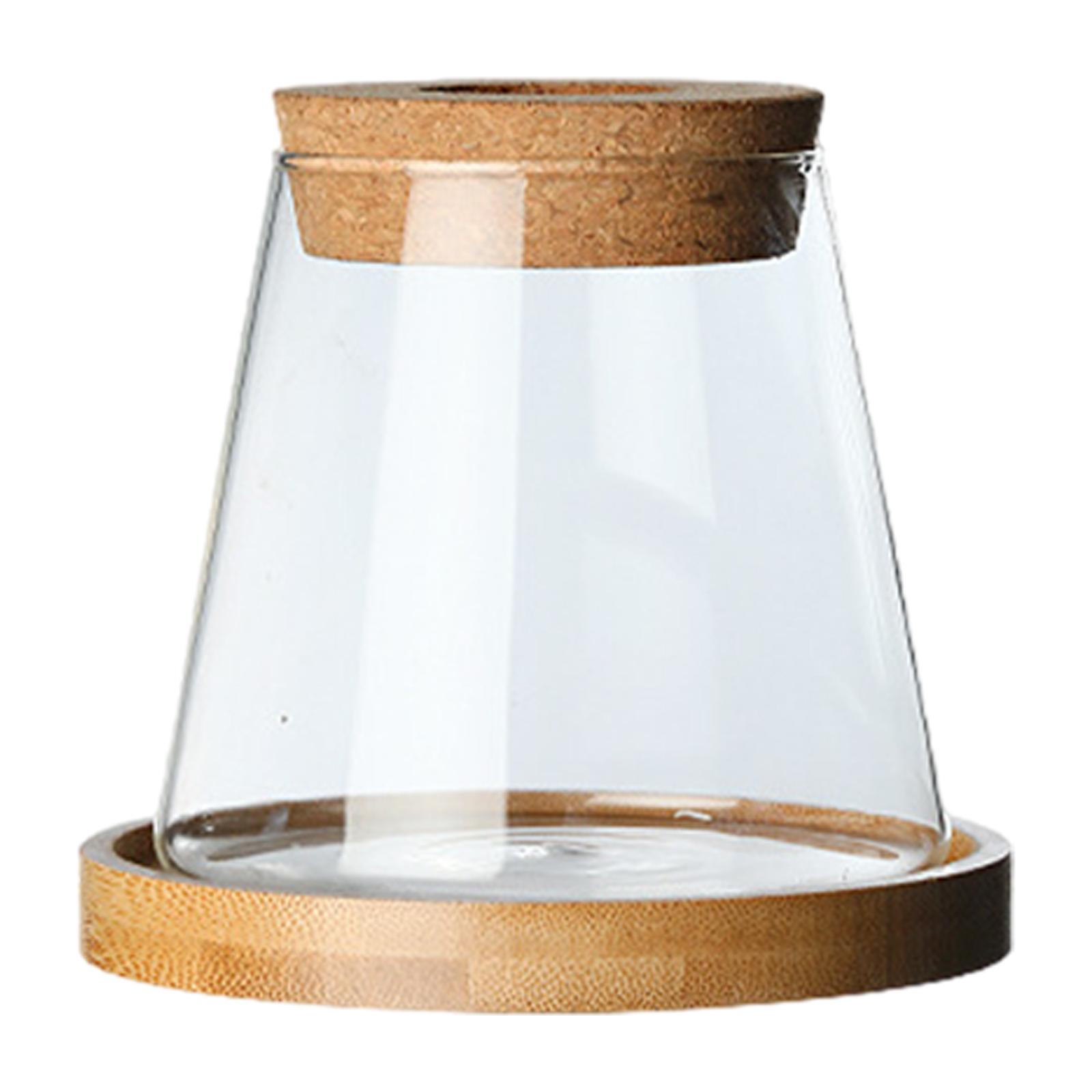 Glass Planter Vase