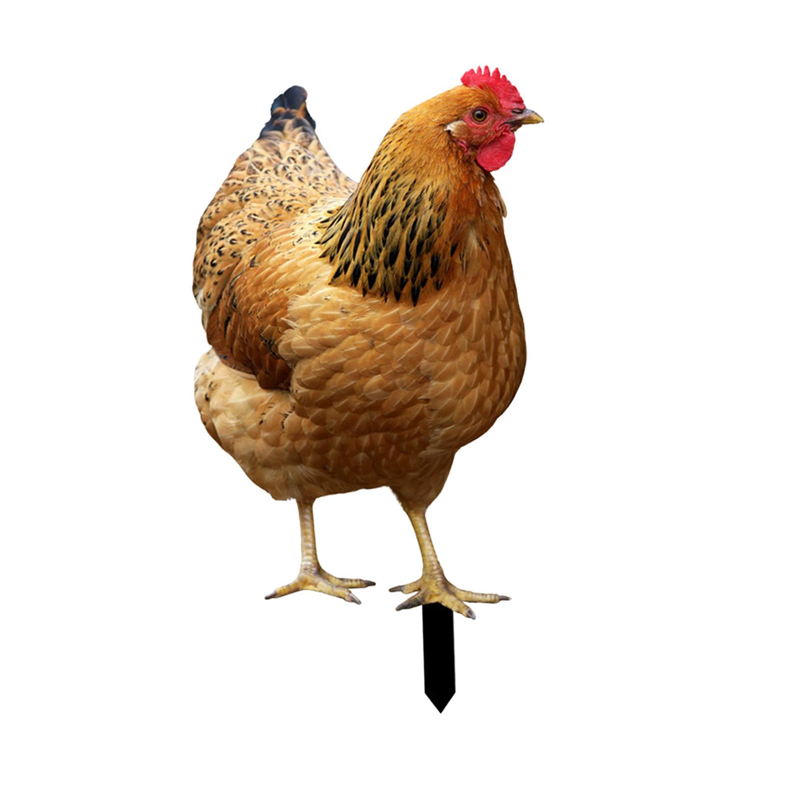 Chicken Garden Stake