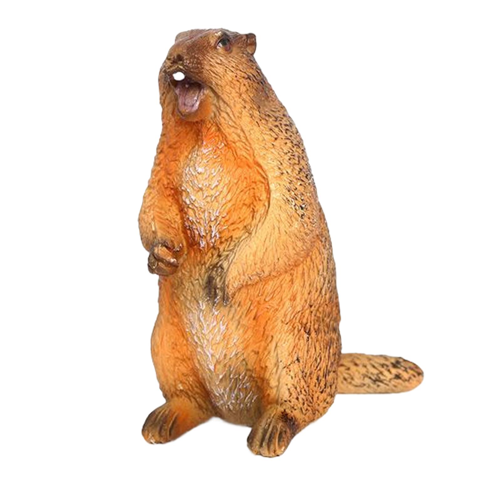 Animal Model