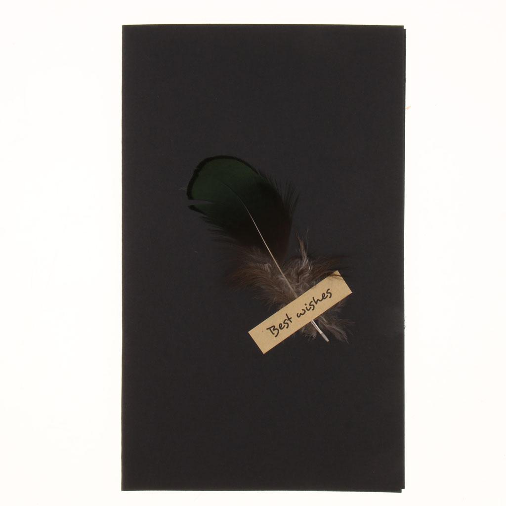 Black handmade DIY feather card F